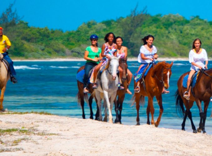 Affordable Airport Transfers & Tours in Jamaica